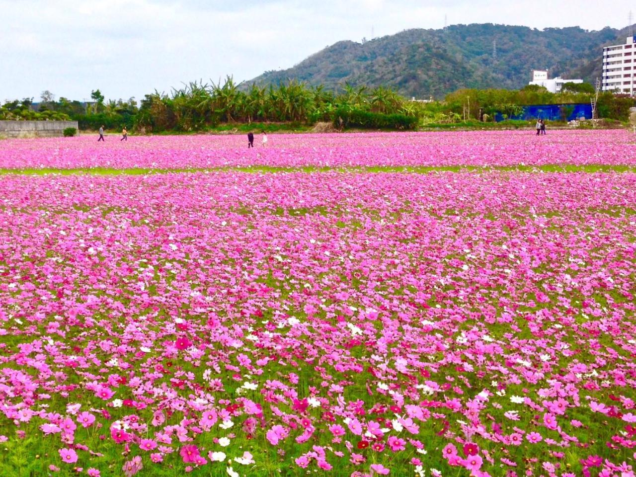 Bougain Terrace Resort Thi-Chi House นาโงะ ภายนอก รูปภาพ